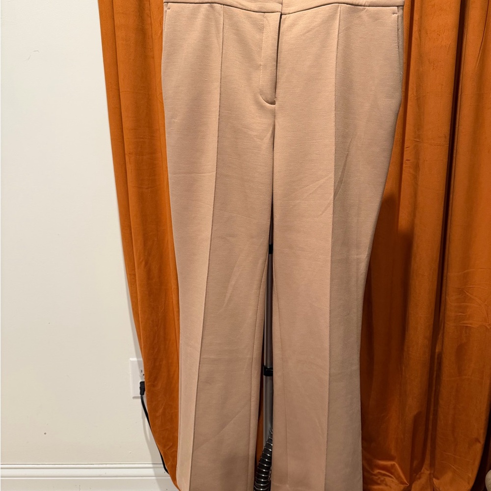 Ann Taylor Classic Tan Women's Pants